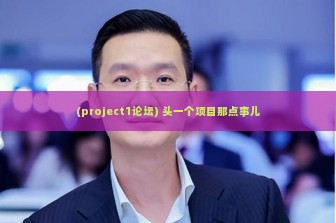 (project1论坛) 头一个项目那点事儿