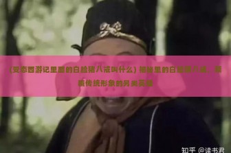 (变态西游记里面的白脸猪八戒叫什么) 揭秘里的白脸猪八戒，颠覆传统形象的另类英雄