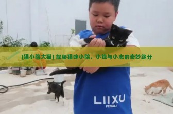 (猫小院大猫) 探秘猫咪小院，小锋与小志的奇妙缘分