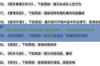 (废土快递规则) 废土快递下架原因探讨，市场变革与行业自律的背后