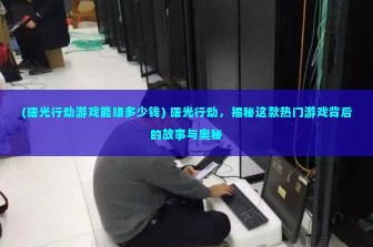 (曙光行动游戏能赚多少钱) 曙光行动，揭秘这款热门游戏背后的故事与奥秘